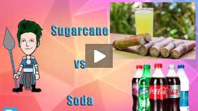 How they effects on our Health | Sugarcane vs Soda