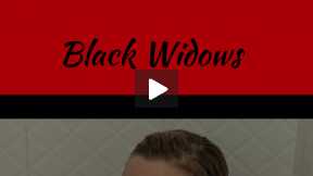 Black Widows:  Chapter 4