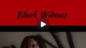 Black Widows:  Chapter 9