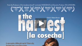 The Harvest/La Cosecha Theatrical Trailer