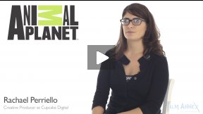 Rachael Perriello on Animal Planet - Cupcake Digital Partnership