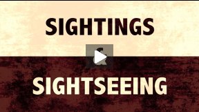 Sightings & Sightseeing 
