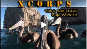 Xcorps Action Sports TV #27.) CABO seg.1