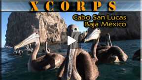 Xcorps Action Sports TV #27.) CABO seg.2