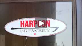 Hops from the East: Harpoon IPA