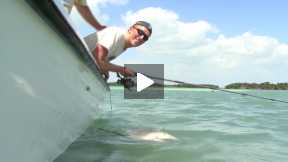 Barracuda fishing in Key Weest